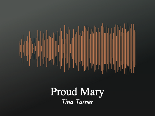 Tina Turner - Proud Mary Printawave Unique Design #1685553698184